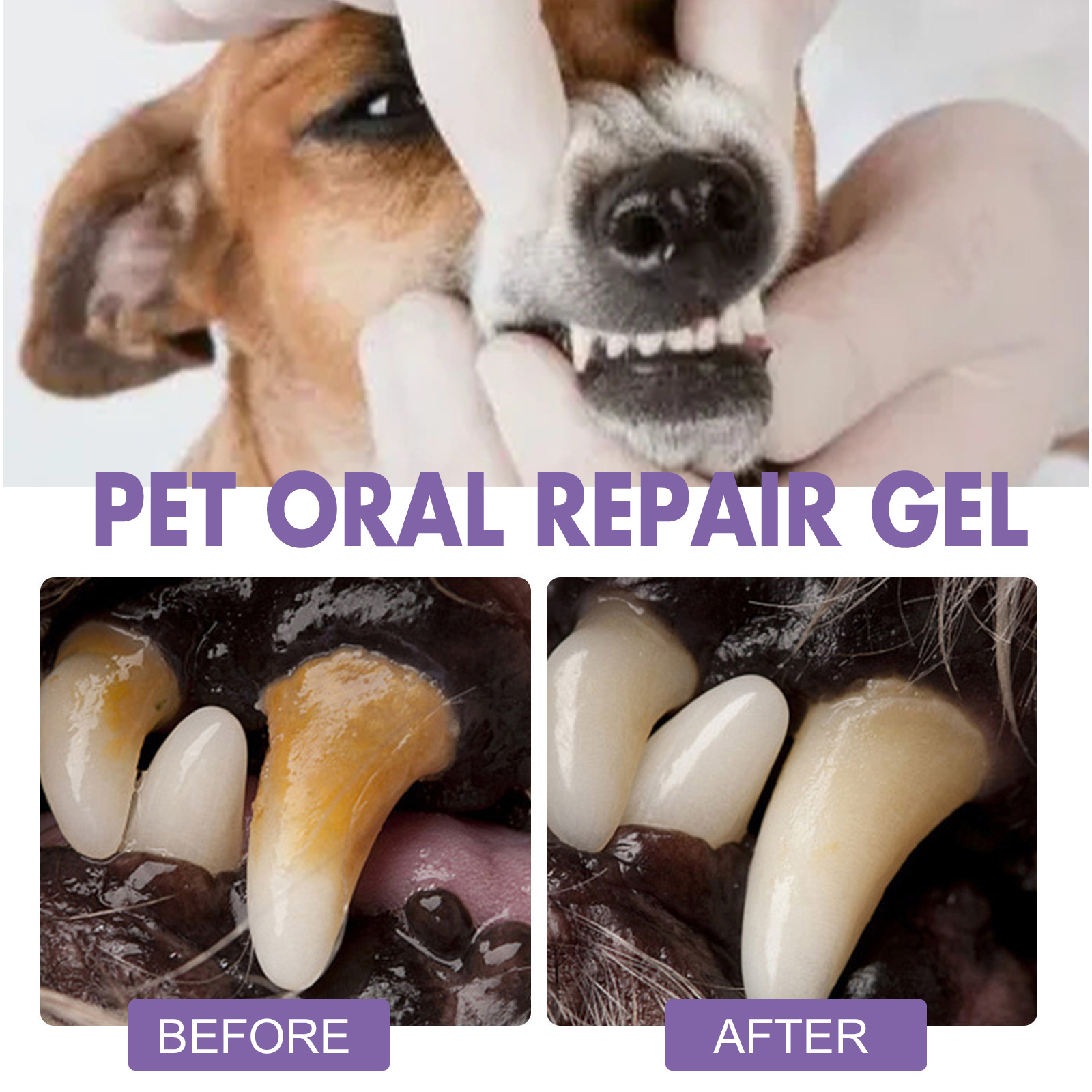 Pet Oral Onarım Jeli Yavru Tar - Teeth Whitening Foam incelemesi ve fiyatı