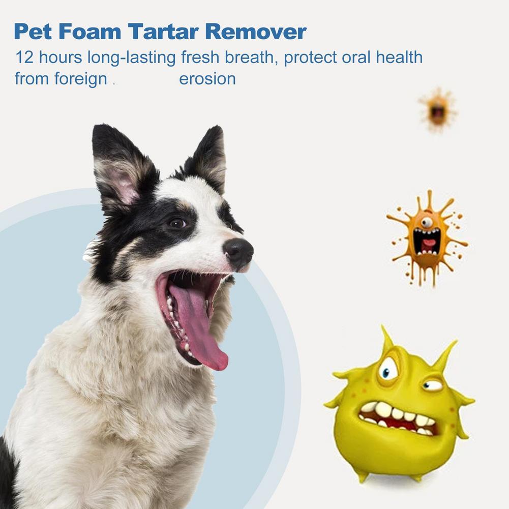 60ml Pet Oral Care Köpekler ve - Teeth Whitening Foam incelemesi ve fiyatı